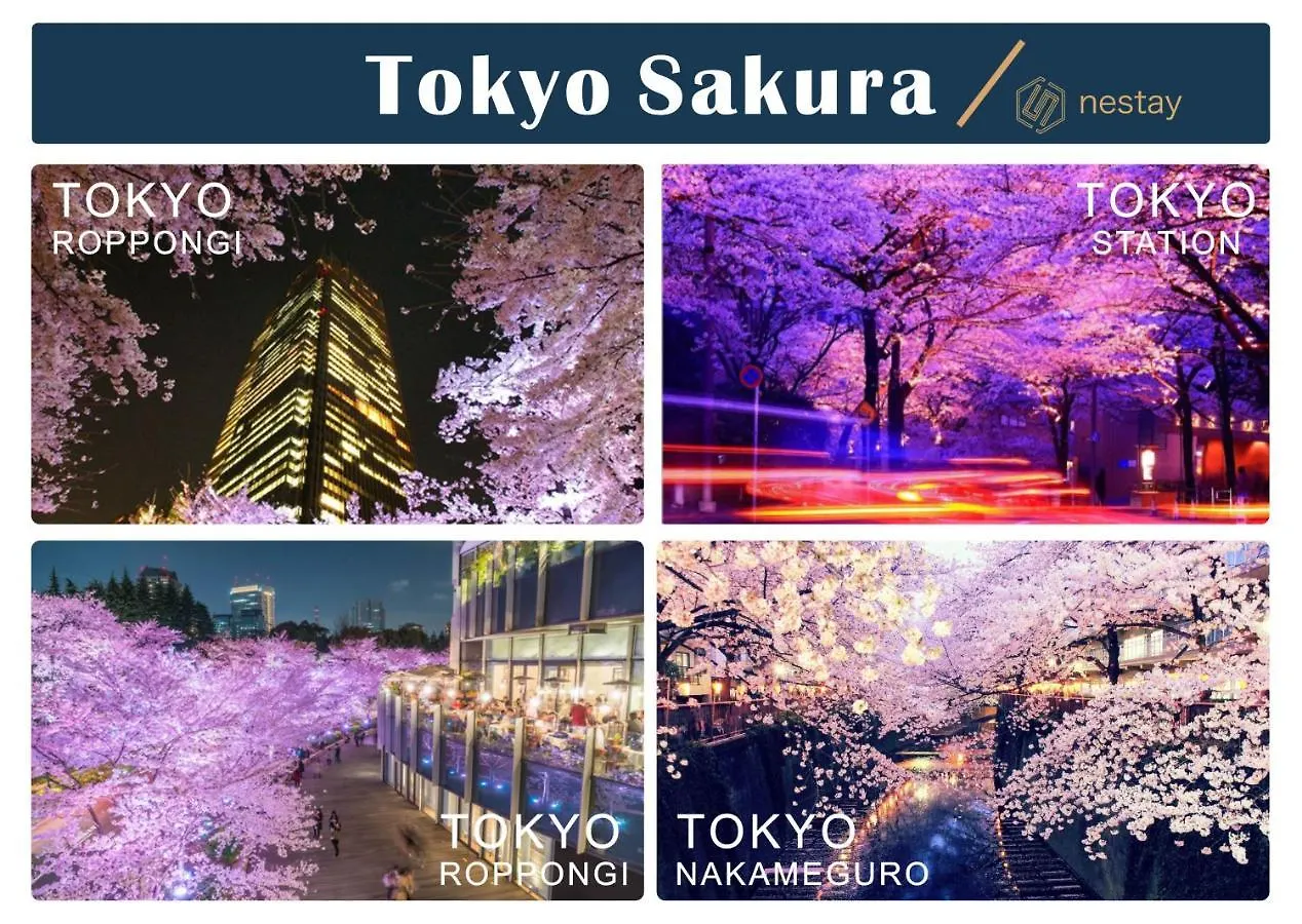 Nestay Inn Tokyo Otsuka 201 Japan