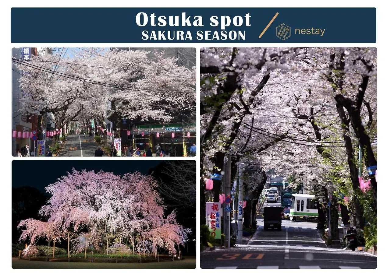 Nestay Inn Tokyo Otsuka 201 Japan